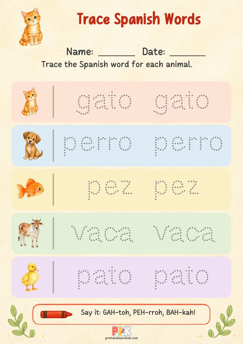 Trace Spanish Words worksheet preview