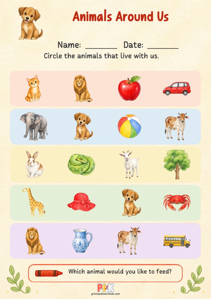 Animals Around Us worksheet preview