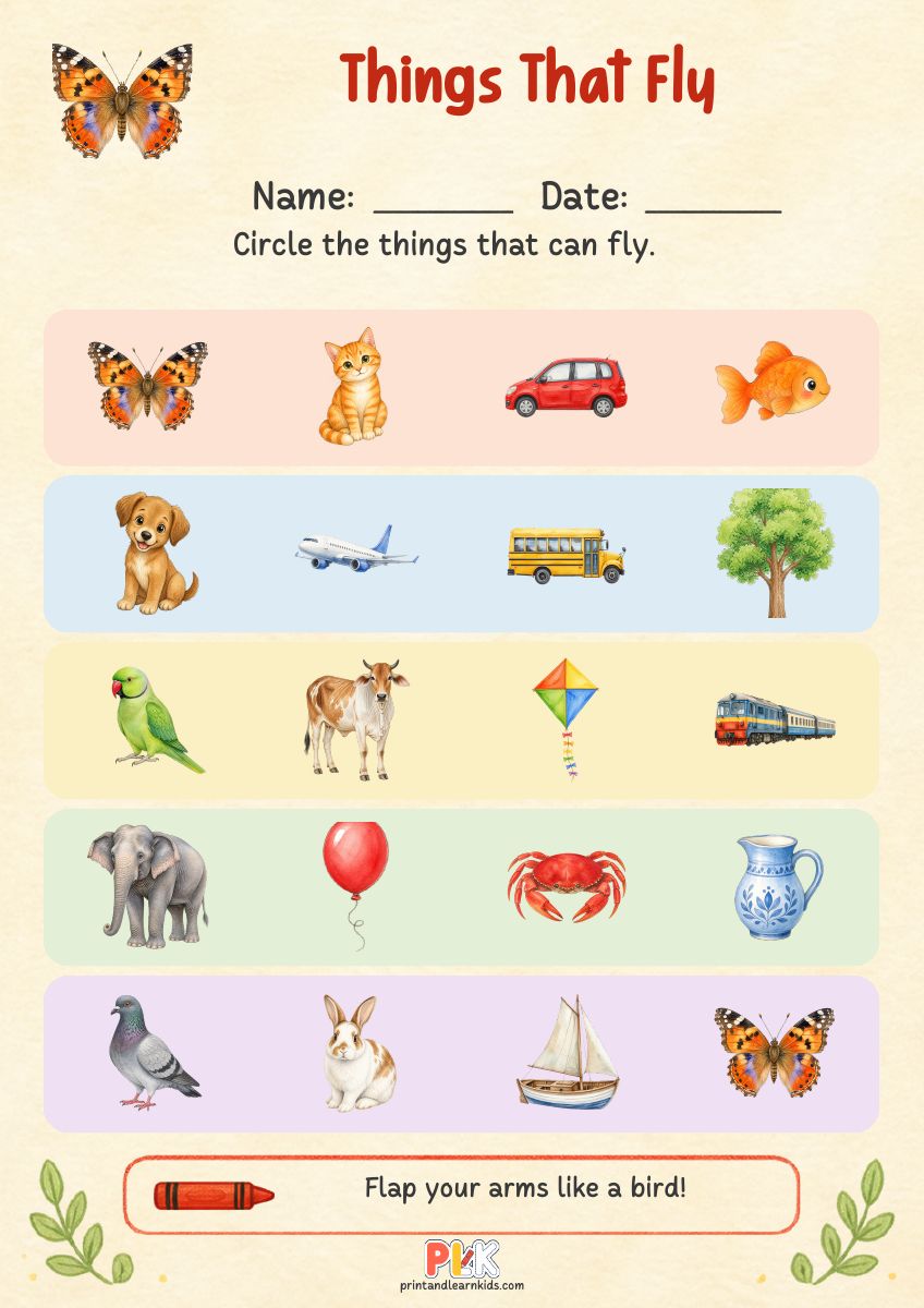 Things That Fly worksheet preview
