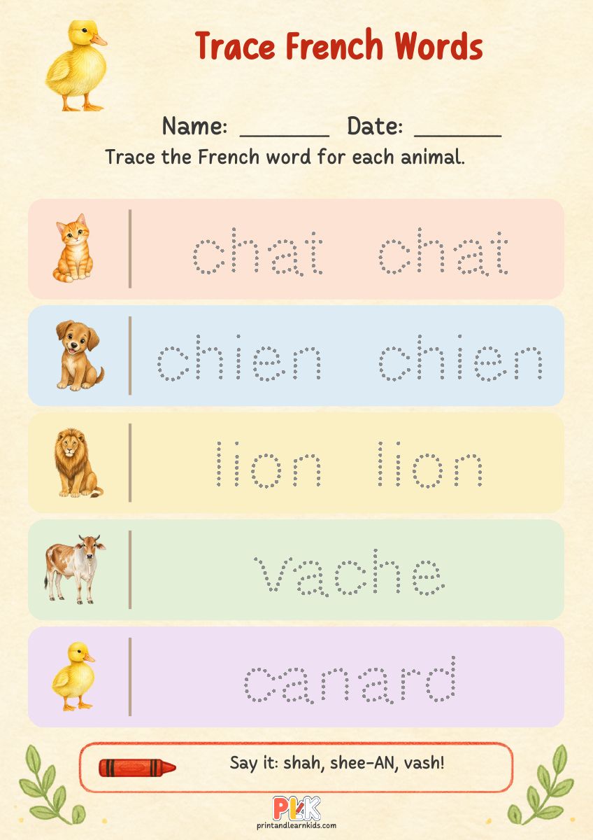 Trace French Words worksheet preview