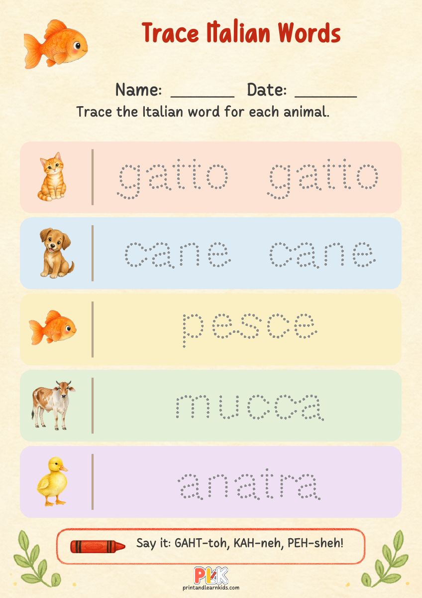 Trace Italian Words worksheet preview
