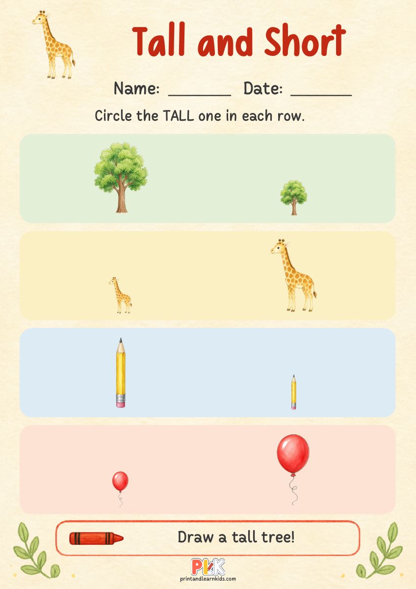 Tall and Short worksheet preview